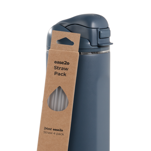 Ease2o Straws 4 Pack 24oz I9